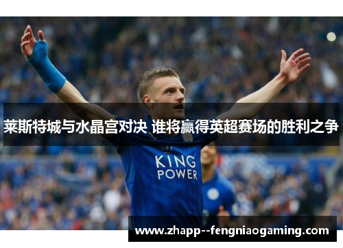 莱斯特城与水晶宫对决 谁将赢得英超赛场的胜利之争