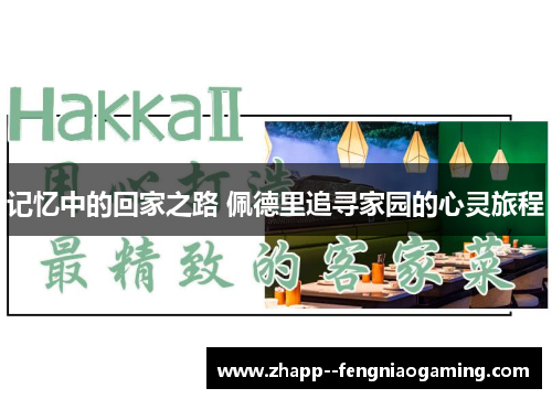 记忆中的回家之路 佩德里追寻家园的心灵旅程