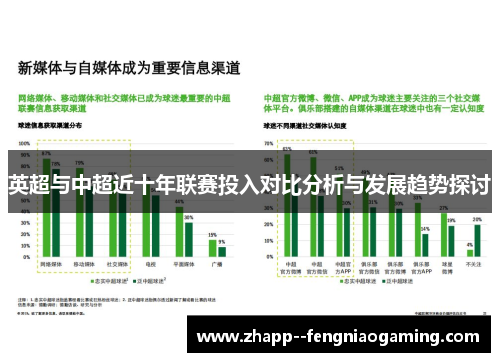 英超与中超近十年联赛投入对比分析与发展趋势探讨
