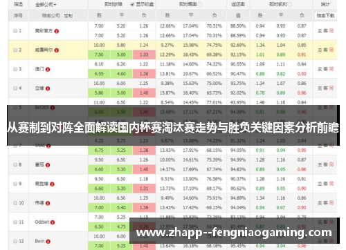 从赛制到对阵全面解读国内杯赛淘汰赛走势与胜负关键因素分析前瞻