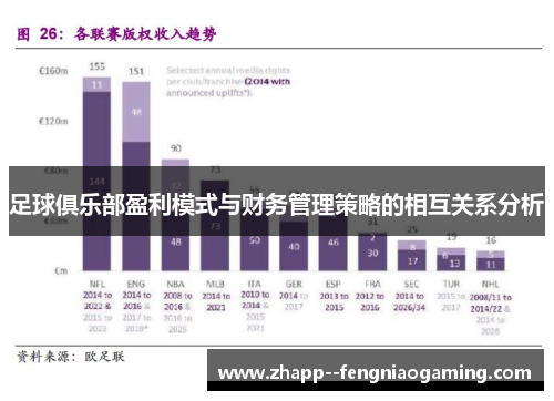 足球俱乐部盈利模式与财务管理策略的相互关系分析 足球俱乐部盈利模式与财务管理策略的相互关系分析