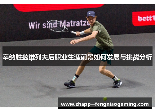 辛纳胜兹维列夫后职业生涯前景如何发展与挑战分析