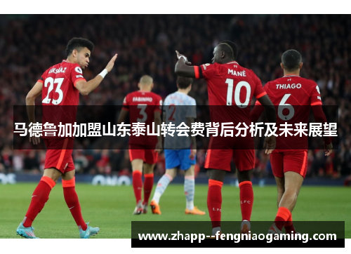 马德鲁加加盟山东泰山转会费背后分析及未来展望